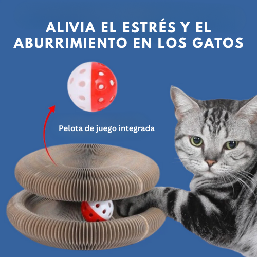 CocoGato
