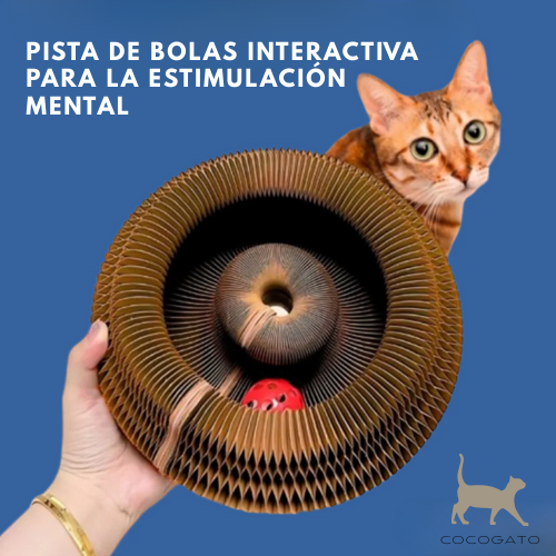 CocoGato