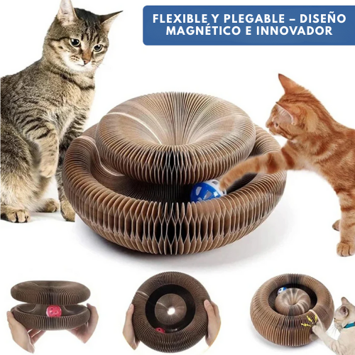 CocoGato
