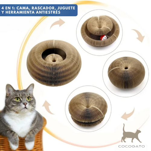 CocoGato