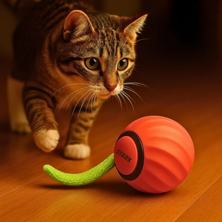 Chase Ball