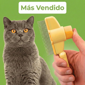 Producto Premium
