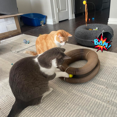 CocoGato - Rascador Interactivo