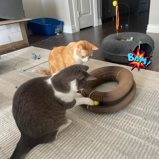 CocoGato - Rascador Interactivo