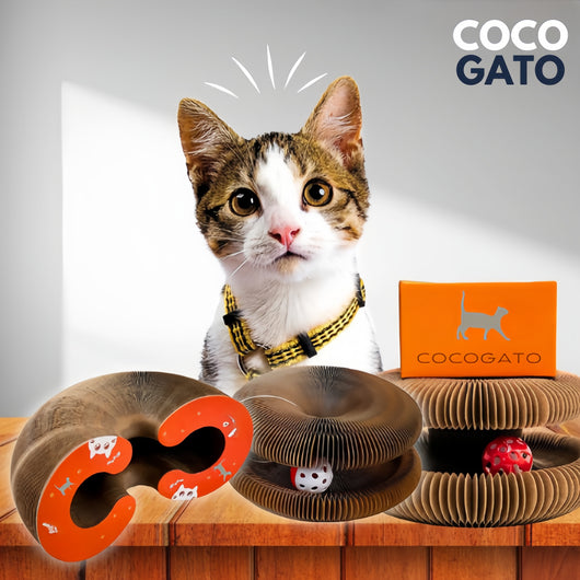 CocoGato - Rascador Interactivo