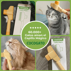 Producto Premium