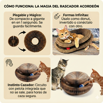 CocoGato - Rascador Interactivo