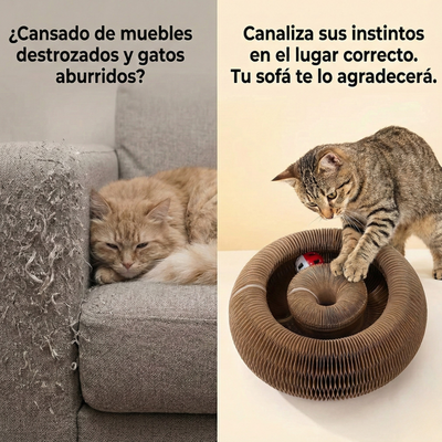 CocoGato - Rascador Interactivo