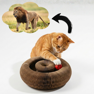 CocoGato - Rascador Interactivo