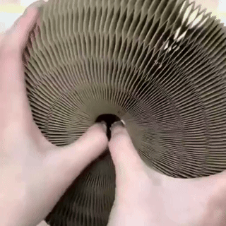 CocoGato - Rascador Interactivo