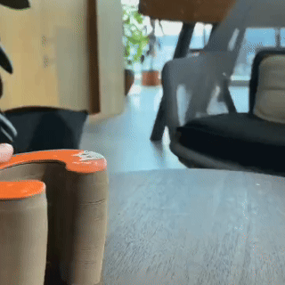 CocoGato - Rascador Interactivo