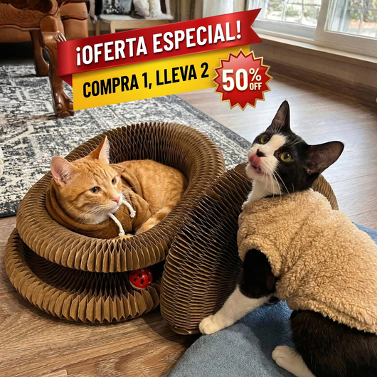 CocoGato - Rascador Interactivo