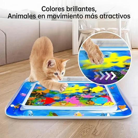 CocoAqua