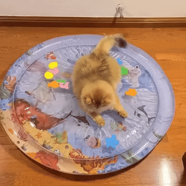 Diversión Fácil y Segura para tu Gato