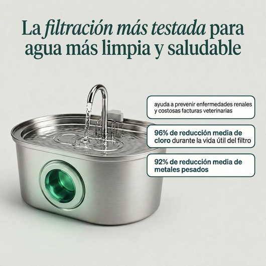cg-g-filtration