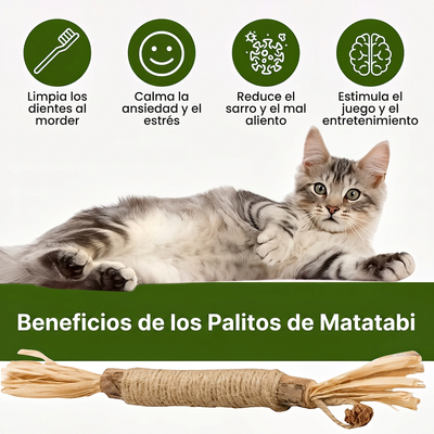 Beneficios de los palitos de matatabi