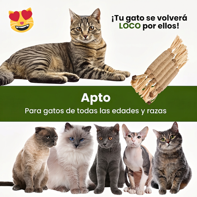 Apto para gatos de todas las edades